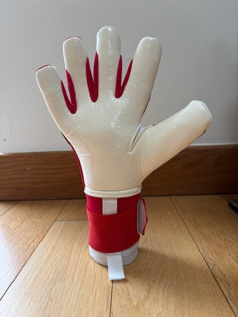 CANI Evolve Impact Goalkeeper Gloves