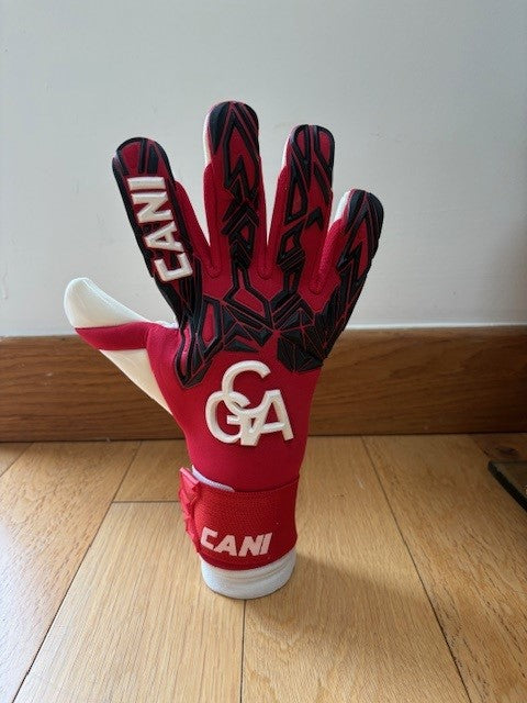 CANI Evolve Impact Goalkeeper Gloves
