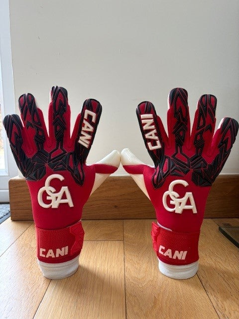 CANI Evolve Impact Goalkeeper Gloves